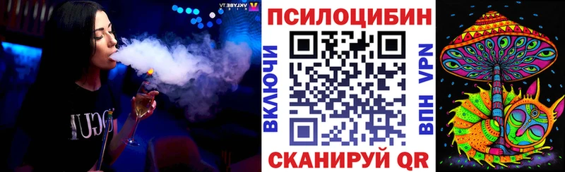 omg как войти  Нязепетровск  Галлюциногенные грибы мицелий 